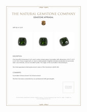 3.69 Ct. Cabochon Tourmaline from Mozambique Appraisal
