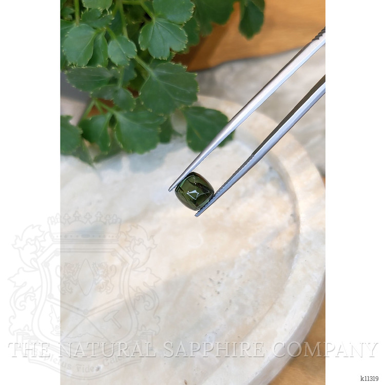 3.69 Ct. Cabochon Tourmaline from Mozambique