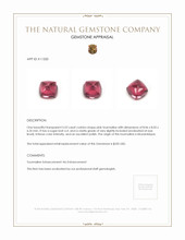 3.52 Ct. Tourmaline from Mozambique Appraisal