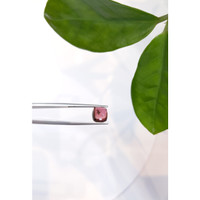 3.52 Ct. Cabochon Tourmaline from Mozambique Life Style