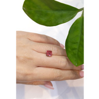 3.52 Ct. Cabochon Tourmaline from Mozambique Life Style