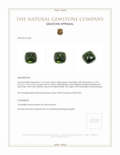 1.55 Ct. Tourmaline from Mozambique Appraisal