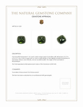 1.55 Ct. Cabochon Tourmaline from Mozambique Appraisal