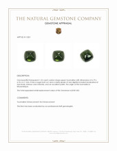 1.55 Ct. Cabochon Tourmaline from Mozambique Appraisal