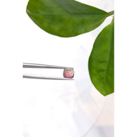 2.70 Ct. Bi Color Cabochon Tourmaline from Mozambique Life Style
