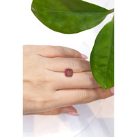 2.70 Ct. Bi Color Cabochon Tourmaline from Mozambique Life Style