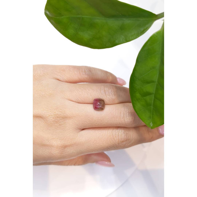 2.70 Ct. Bi Color Cabochon Tourmaline from Mozambique