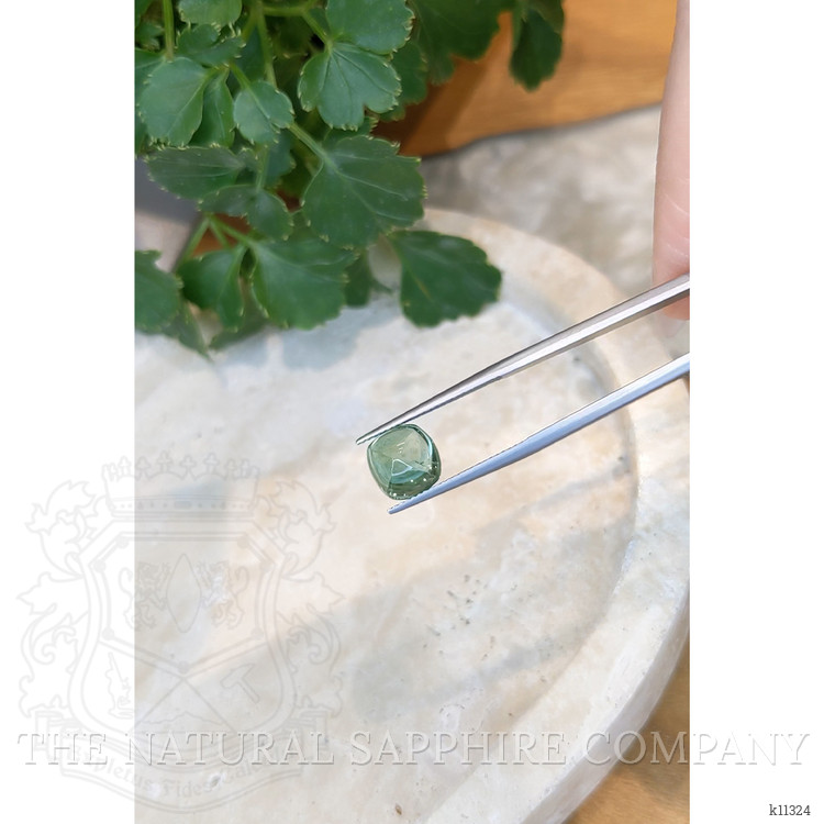 4.25 Ct. Cabochon Tourmaline from Mozambique