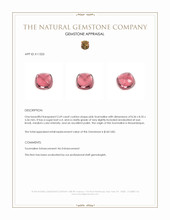 2.69 Ct. Cabochon Tourmaline from Mozambique Appraisal