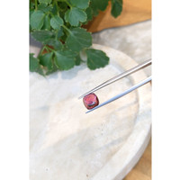 4.38 Ct. Cabochon Tourmaline from Mozambique Life Style