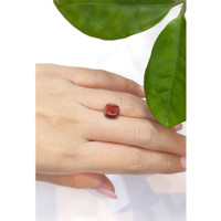 3.89 Ct. Cabochon Tourmaline from Mozambique Life Style