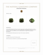 2.82 Ct. Cabochon Tourmaline from Mozambique Appraisal