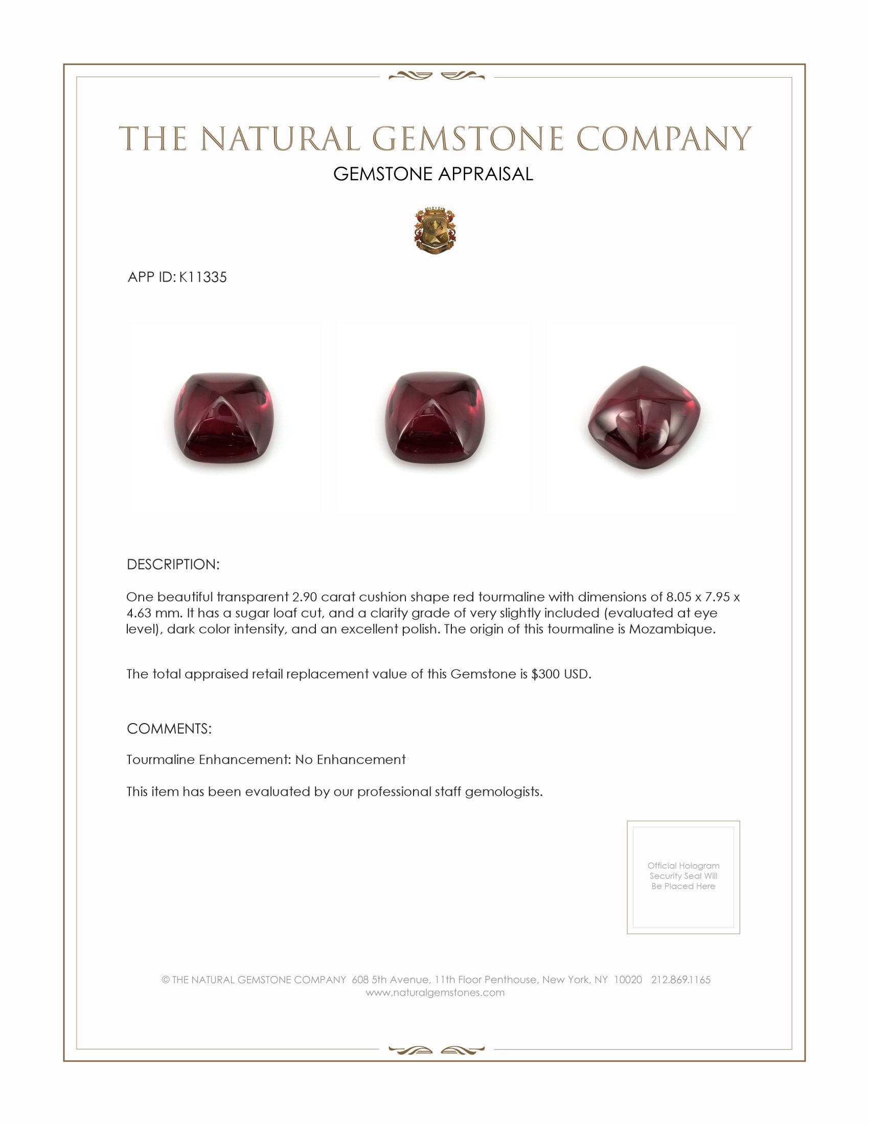 2.90 Ct. Cabochon Tourmaline from Mozambique