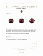 2.90 Ct. Tourmaline from Mozambique Appraisal