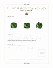 3.18 Ct. Cabochon Tourmaline from Mozambique Appraisal