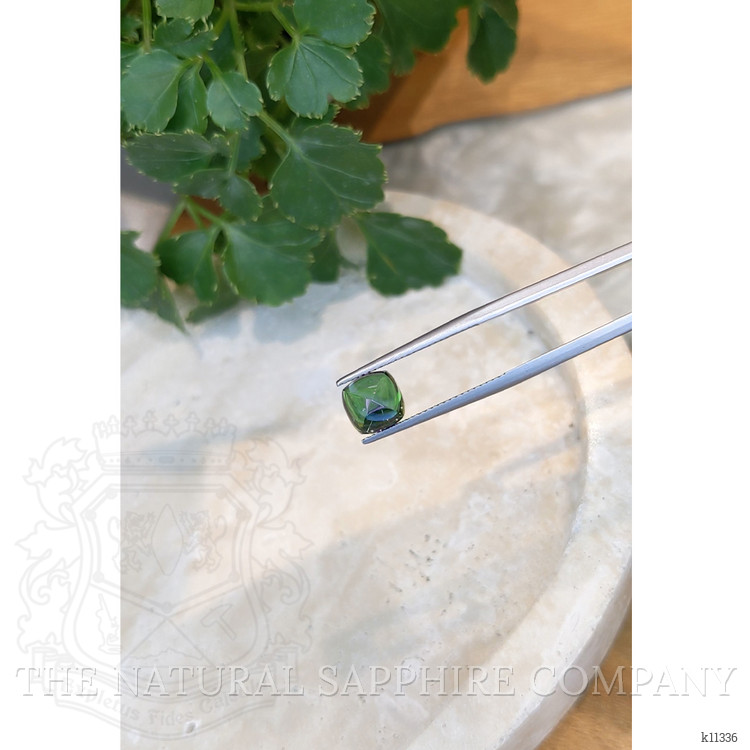 3.18 Ct. Cabochon Tourmaline from Mozambique