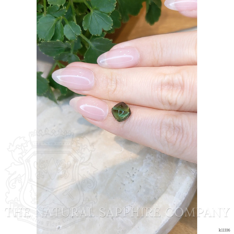 3.18 Ct. Cabochon Tourmaline from Mozambique