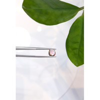 2.12 Ct. Cabochon Tourmaline from Mozambique Life Style
