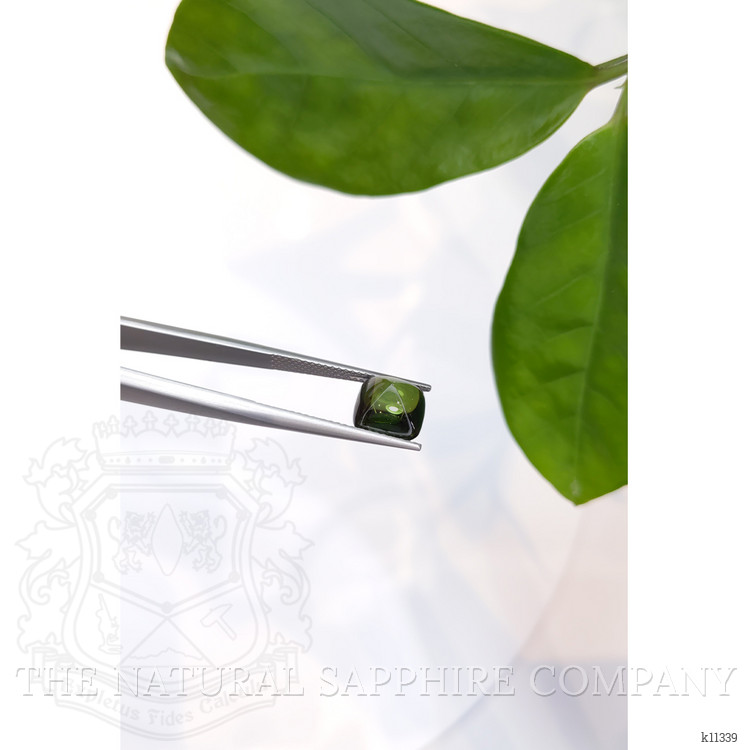 3.44 Ct. Cabochon Tourmaline from Mozambique