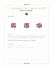 2.73 Ct. Cabochon Tourmaline from Mozambique Appraisal