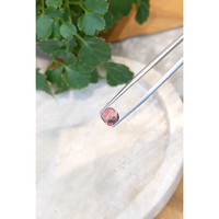 2.73 Ct. Cabochon Tourmaline from Mozambique Life Style