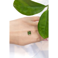 4.54 Ct. Cabochon Tourmaline from Mozambique Life Style