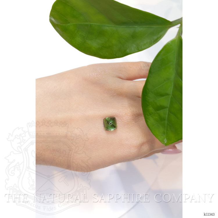 4.54 Ct. Cabochon Tourmaline from Mozambique