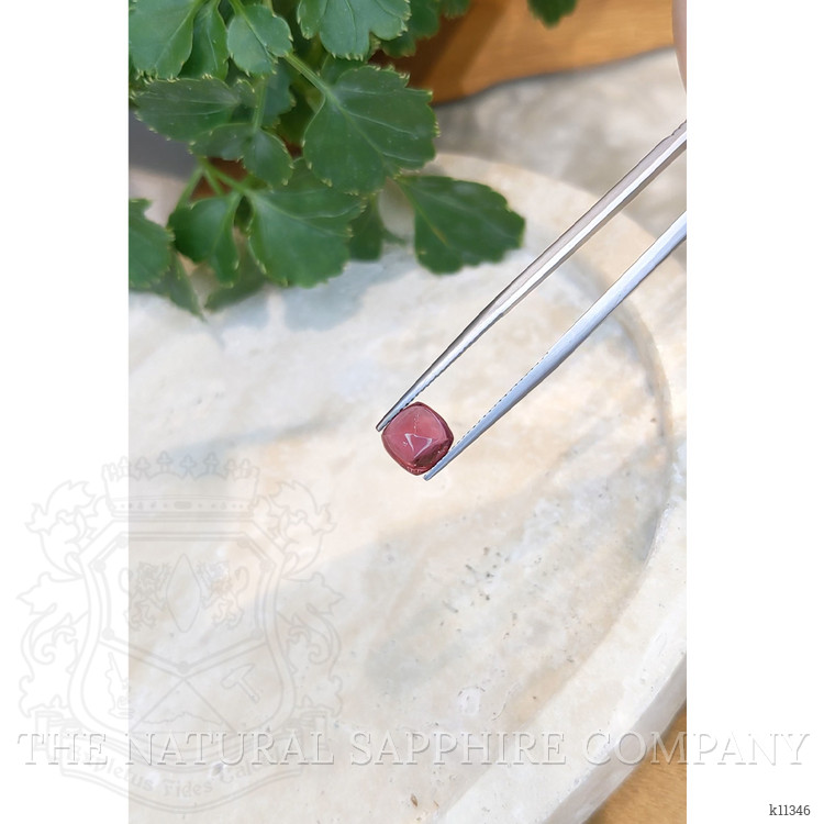 2.00 Ct. Cabochon Tourmaline from Mozambique