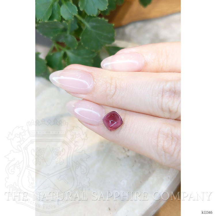 2.00 Ct. Cabochon Tourmaline from Mozambique