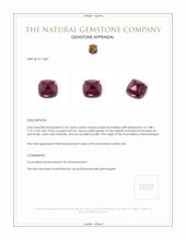 3.35 Ct. Tourmaline from Mozambique Appraisal