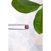 3.35 Ct. Cabochon Tourmaline from Mozambique Life Style