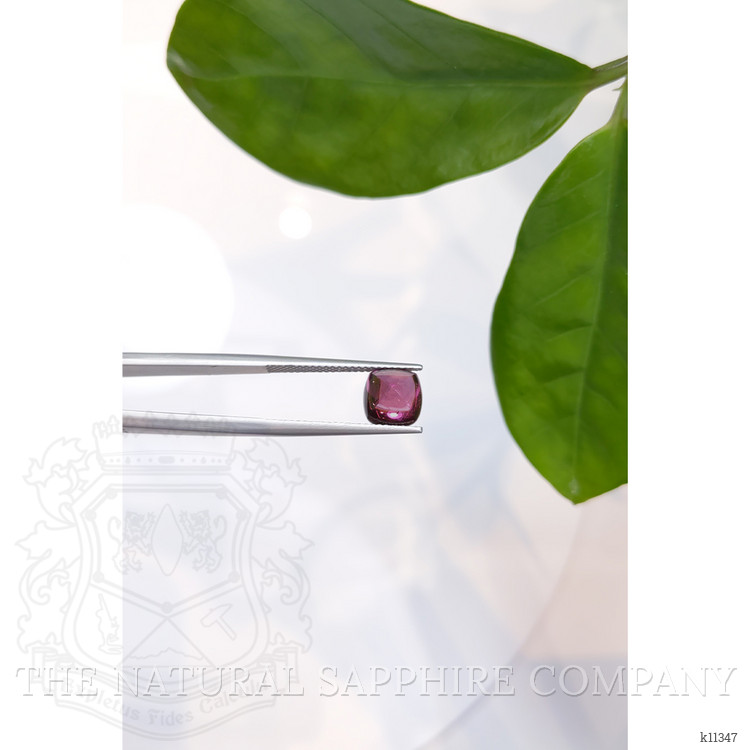 3.35 Ct. Cabochon Tourmaline from Mozambique