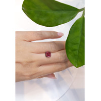 3.35 Ct. Cabochon Tourmaline from Mozambique Life Style