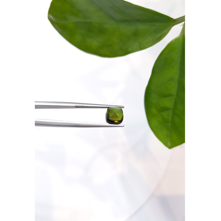 2.81 Ct. Cabochon Tourmaline from Mozambique