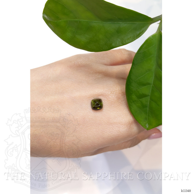 2.81 Ct. Cabochon Tourmaline from Mozambique