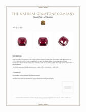 2.99 Ct. Tourmaline from Mozambique Appraisal