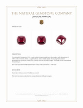 2.99 Ct. Cabochon Tourmaline from Mozambique Appraisal