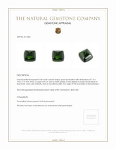 2.08 Ct. Cabochon Tourmaline from Mozambique Appraisal