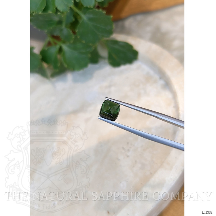 2.08 Ct. Cabochon Tourmaline from Mozambique