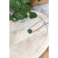 2.83 Ct. Cabochon Tourmaline from Mozambique Life Style