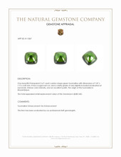 2.67 Ct. Cabochon Tourmaline from Mozambique Appraisal