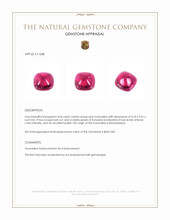 4.04 Ct. Cabochon Tourmaline from Mozambique Appraisal