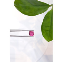 4.04 Ct. Cabochon Tourmaline from Mozambique Life Style
