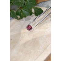 4.50 Ct. Cabochon Tourmaline from Mozambique Life Style