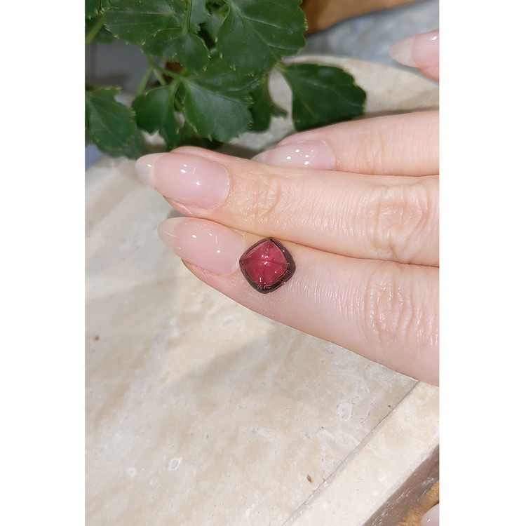 4.50 Ct. Cabochon Tourmaline from Mozambique