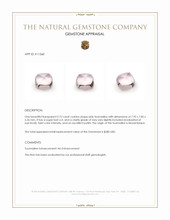 2.72 Ct. Cabochon Tourmaline from Mozambique Appraisal