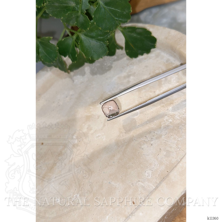 2.72 Ct. Cabochon Tourmaline from Mozambique