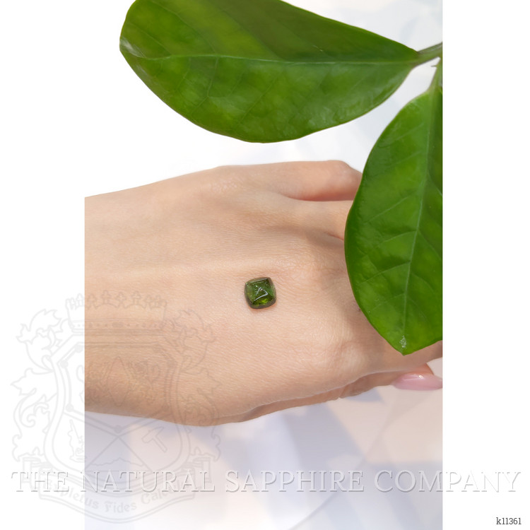 3.12 Ct. Cabochon Tourmaline from Mozambique