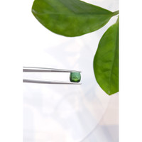 3.12 Ct. Cabochon Tourmaline from Mozambique Life Style