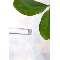 3.72 Ct. Cabochon Tourmaline from Mozambique Life Style